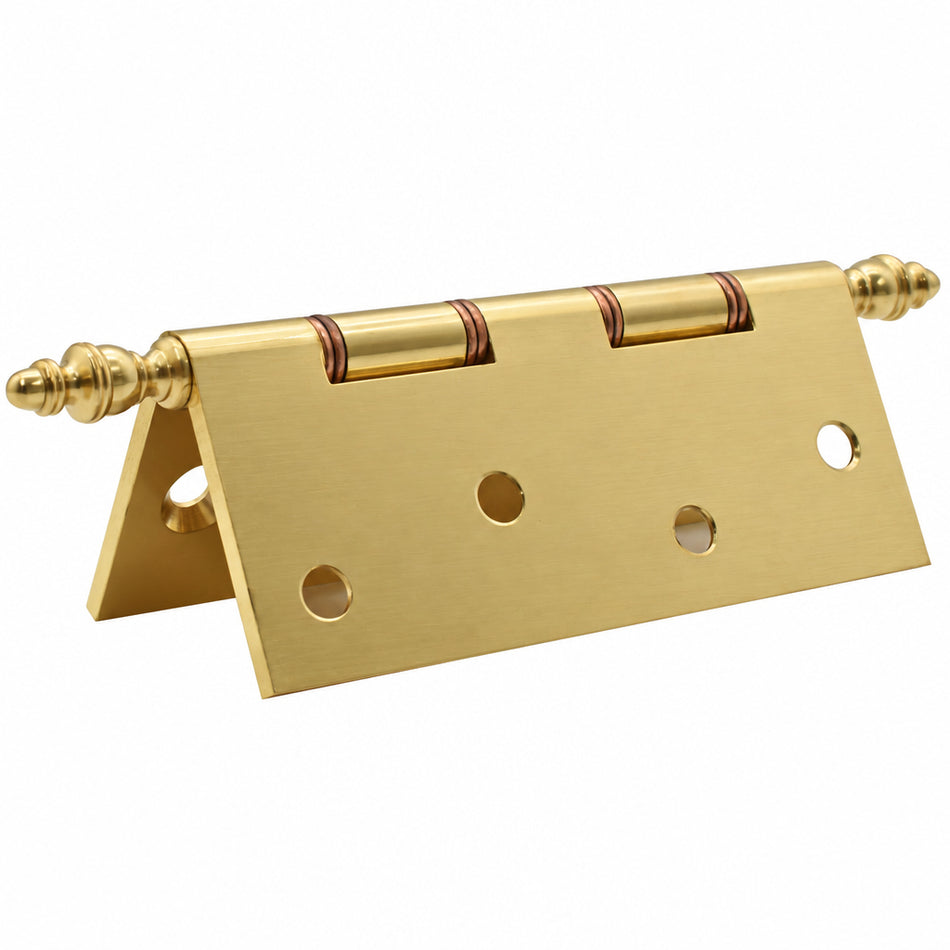 Decorative Hinge