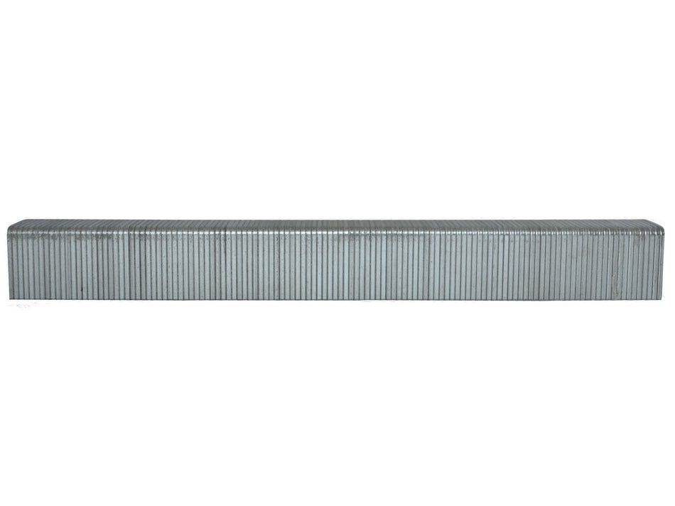 80 Series Staple